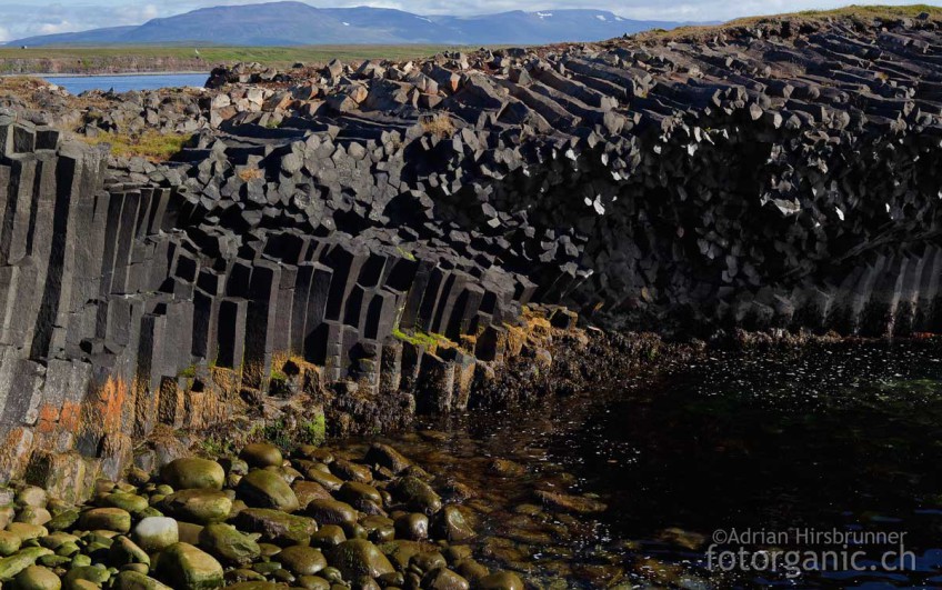 Formschöne Basaltsäulenformationen bei Kálfshamarsvík