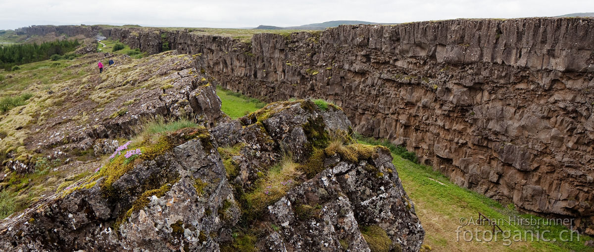 Þingvellir / Thingvellir-Graben, Island: Langgezogene Verwerfungen prägen die Landschaft.