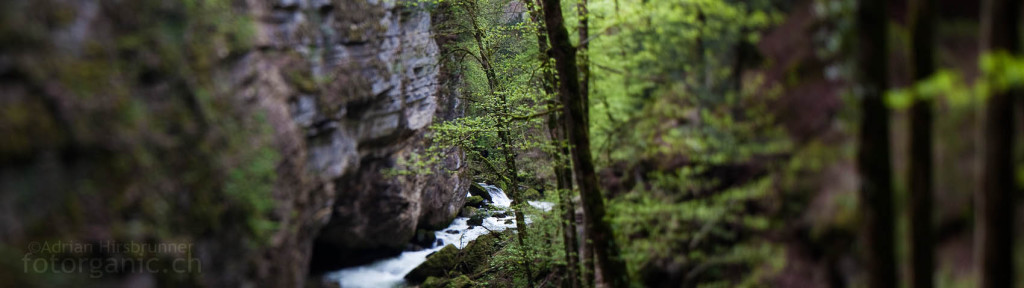 Areuse Schlucht fotografiert mit Tilt-Shift-Objektiv.