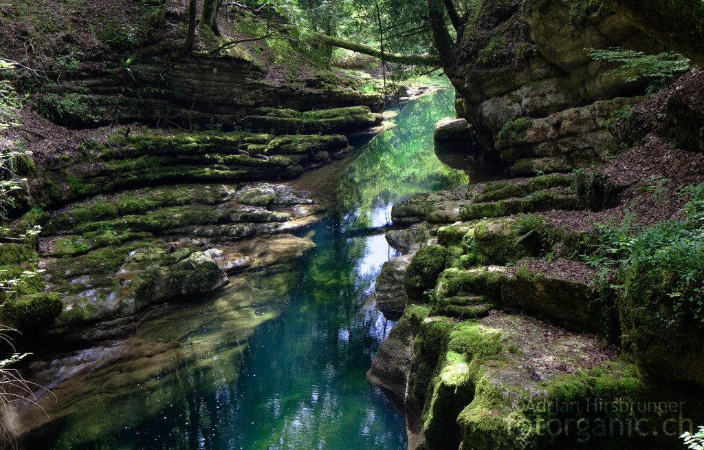 Schillert in allen Grüntönen: Die Areuse in der Arreuseschlucht