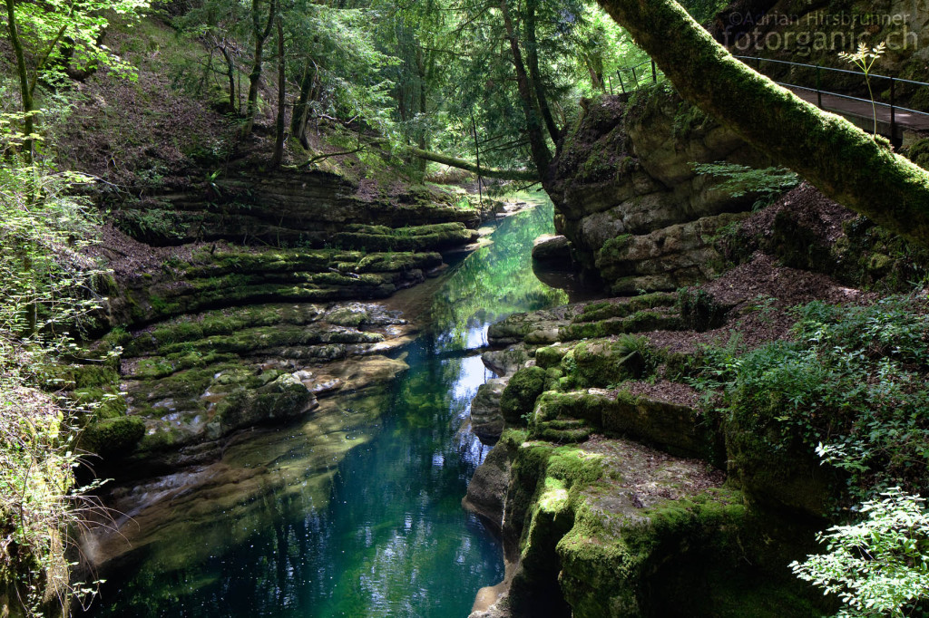 Die Becken der Areuseschlucht erstrahelen in allen Grüntönen.