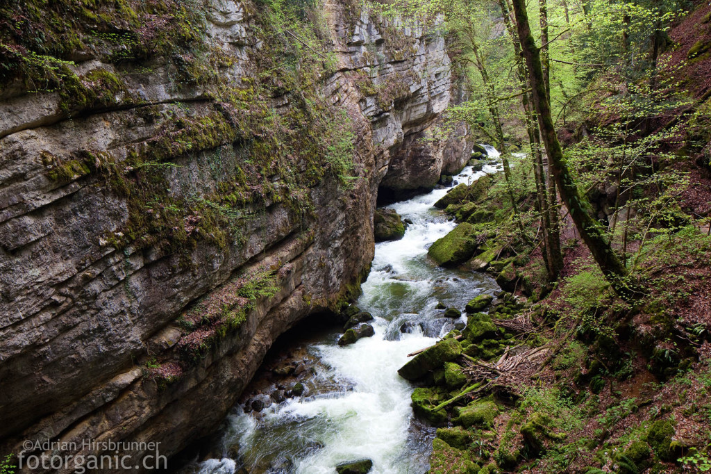 Die imposante Areuse Schlucht mit ihren steilen Felswänden.