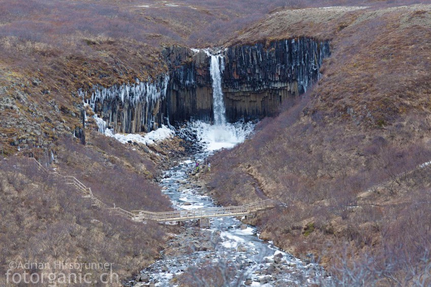 Swartifoss, Basaltsäulen-Wasserfall im Süden Islands.