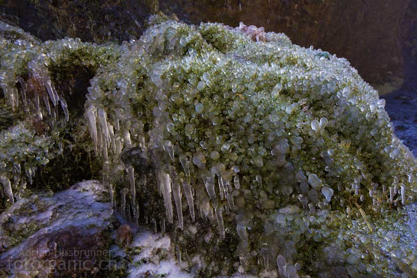 Alles rund um den Skógafoss ist von einer Eisschicht überzogen.