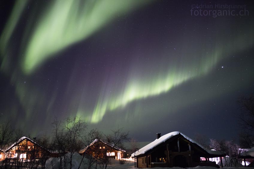 Wehende Polarlicht-Vorhänge am ganzen Himmel! Die Nordlichter bewegen sich immer schneller.