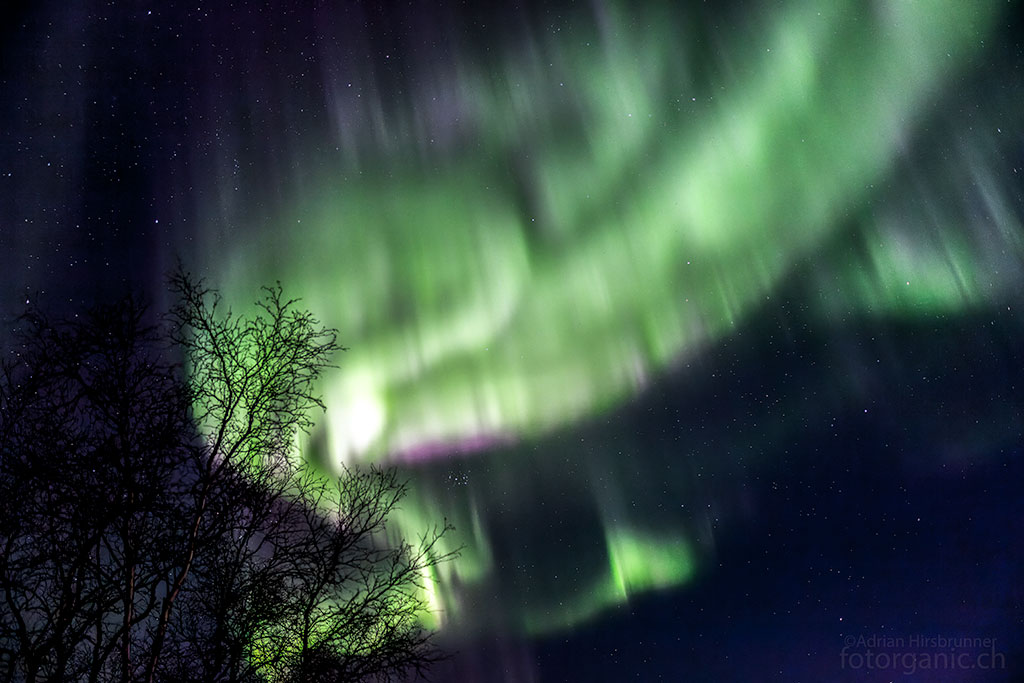 Polarlichter können sich sehr schnell bewegen: Dieses Bild wurde bei Blende f/1.4 mit einer halben Sekunde belichtet und das Polarlicht ist trotzdem unscharf.