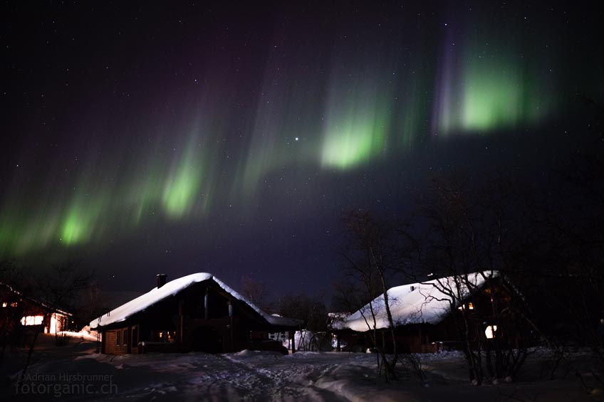Wehende Nordlichter zieren den Himmel wie Girlanden.