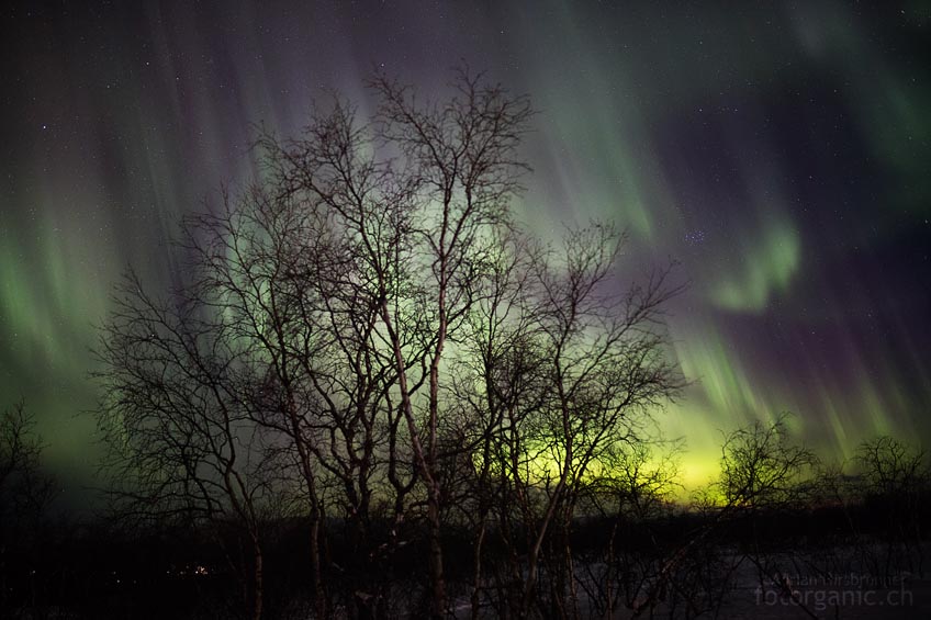 Mittendrin! Wo wir auch hinschauen: Der ganze Himmel ist voller Polarlichter!