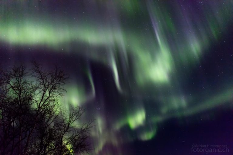 Alle möglichen Formen der Aurora borealis zeigen sich jetzt.