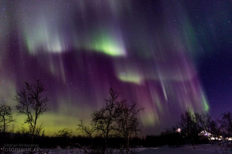 In rasantem Tempo verändern sich die Farben und Formen des Nordlichts