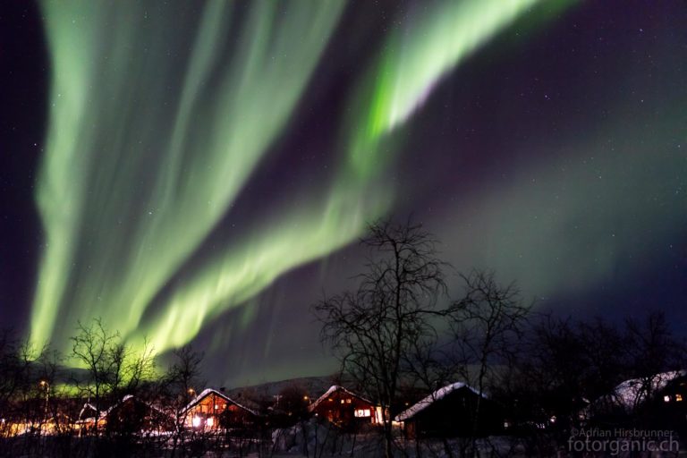 Während die grünen Farben des Polarlichts von angeregtem atomarem oder molekularem Sauerstoff herrühren, sind bei besonders intensiven Lichtern manchmal auch hell leuchtende pink – oder -lilafarbene Spitzen zu beobachten. Diese entstehen durch Anregung von atomarem Stickstoff.