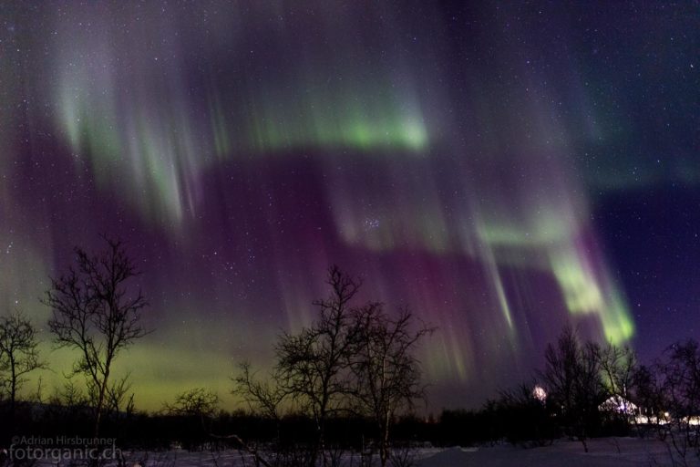 Pulsierende Lichter über unseren Köpfen bis zum Horizont.