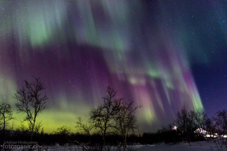 Der Himmel ist jetzt überall voller Nordlichter. Zunehmend sind auch rote Farben wahrnehmbar.