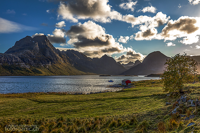 Moskenesøy, auf dem Rückweg zum Parkplatz bei Marka.