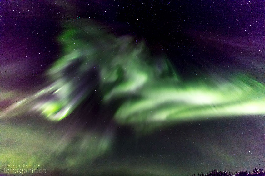 Die zitternden Polarlichter bringen uns zum staunen.