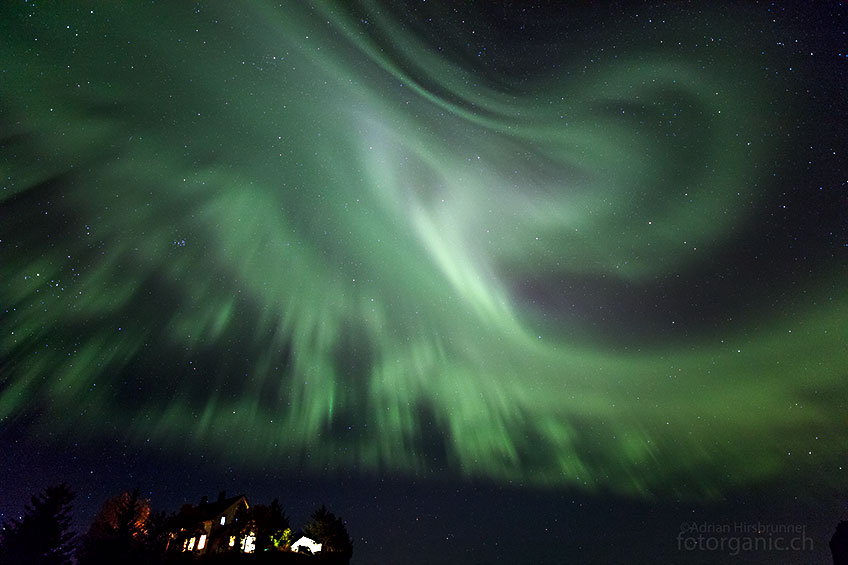 Nordlichter regen die Phantasien der staunenden Beobachter an: Dieses Polarlicht-Gebilde erinnert mich an eine Riesenkrake...