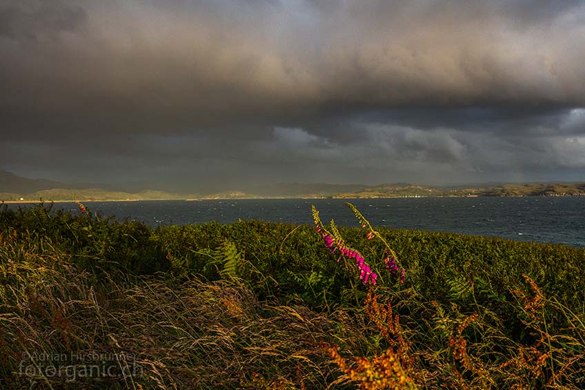 Verblüffend, wie schnell sich die Lichtstimmungen in Schottland verändern können.