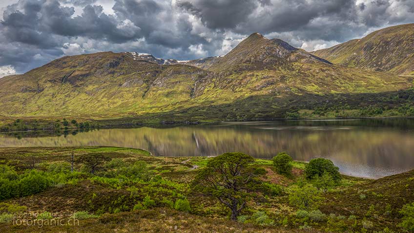 Glen Affric ist ein abgeschiedenes Tal in den Schottischen Highlands. Rund um seinen See Loch Affric, erlebst Du das urtümliche Schottland.