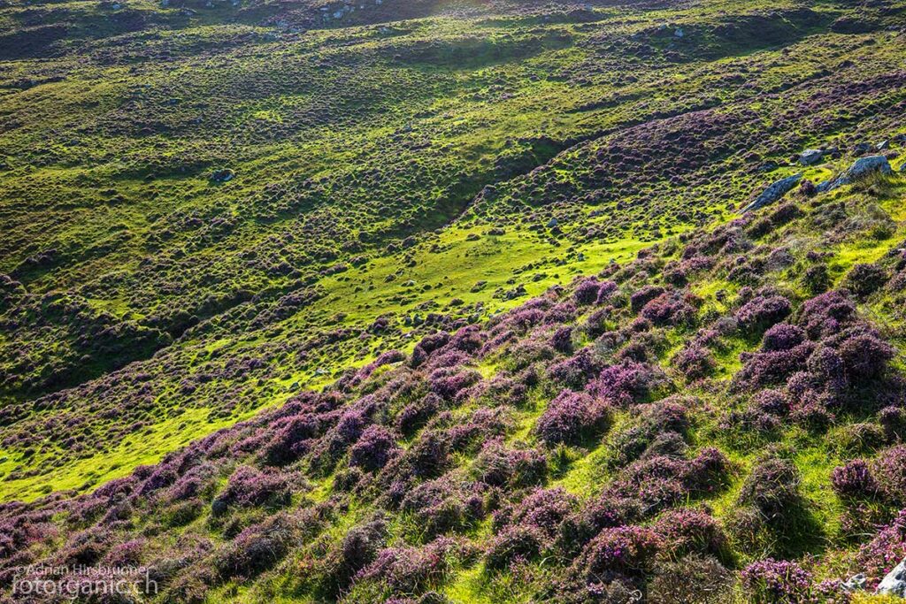 Landschaftsbild von Lewis and Harris mit eindrücklichen Farbkontrasten.