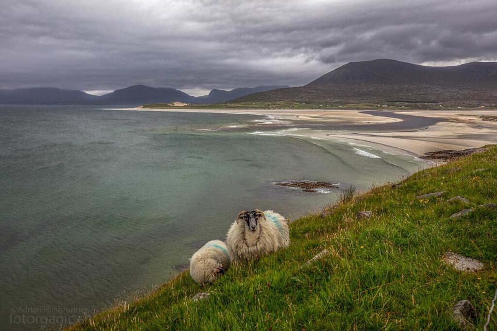 Aussicht auf den Luskentyre Beach