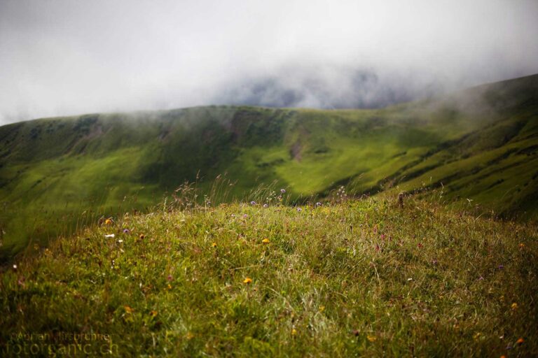 Der Nebel verleiht der Alp eine mystische Stimmung