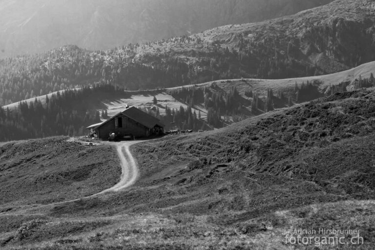 Alpenlandschaft monochrom