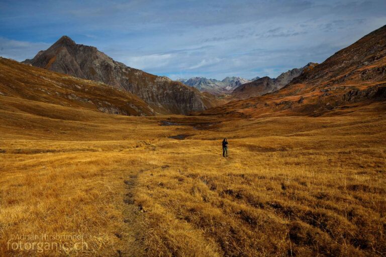 Im Herbst sind die Grashänge orange bis kupferbraun verfärbt. Val da Cam, Engadin