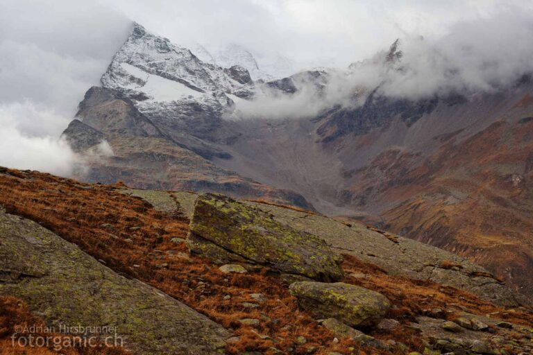 Grün bemooste Steine und rostrote Tundra im Val dal Bügelti