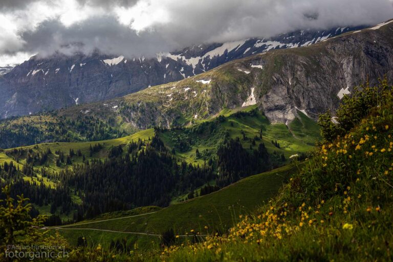 Eine typische Alplandschaft im Berner Oberland