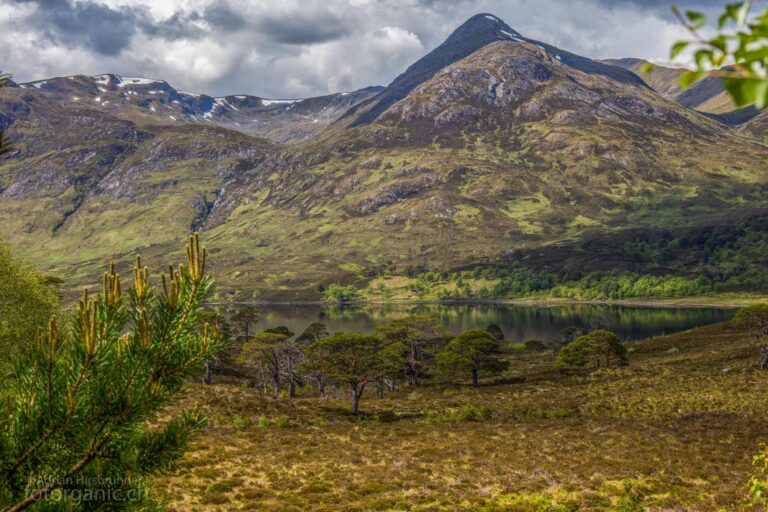 Die typischen Farben der schottischen Highlands